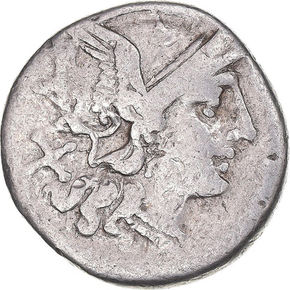 Acuñar, 
  
  escribonia, 
  
  Dinar