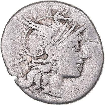 Acuñar, 
  
  saufeia, 
  
  Dinar