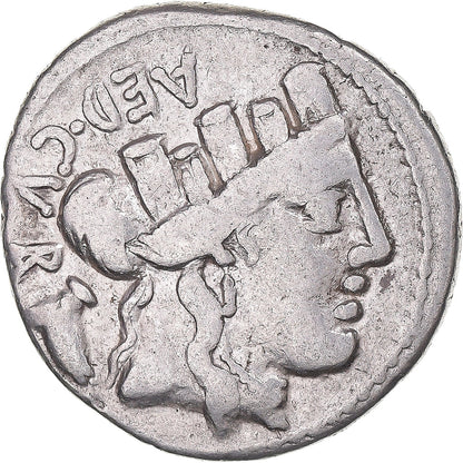 Acuñar, 
  
  Manía, 
  
  Dinar