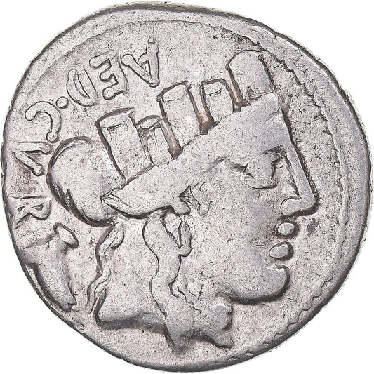 Acuñar, 
  
  Manía, 
  
  Dinar