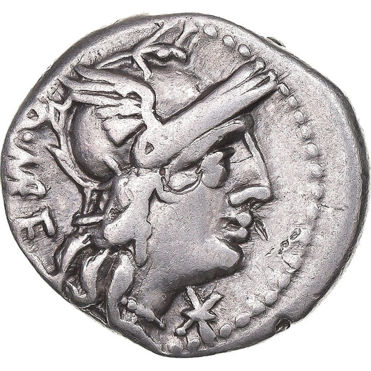 Moneda,

Cecilia,

Dinar