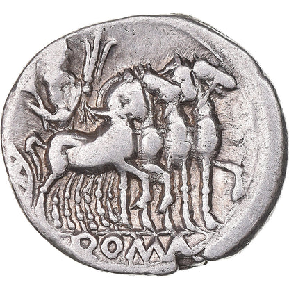 Moneda,

Cecilia,

Dinar