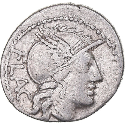 Acuñar, 
  
  rutilia, 
  
  Dinar