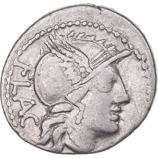 Acuñar, 
  
  rutilia, 
  
  Dinar