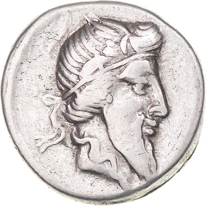 Acuñar, 
  
  Tía, 
  
  Dinar