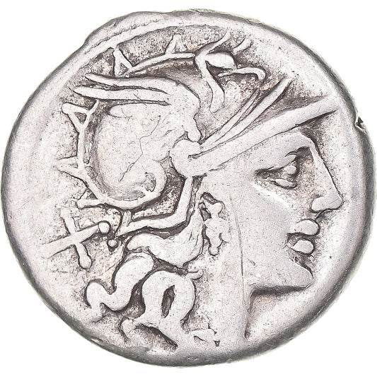 Acuñar, 
  
  cornelia, 
  
  Dinar