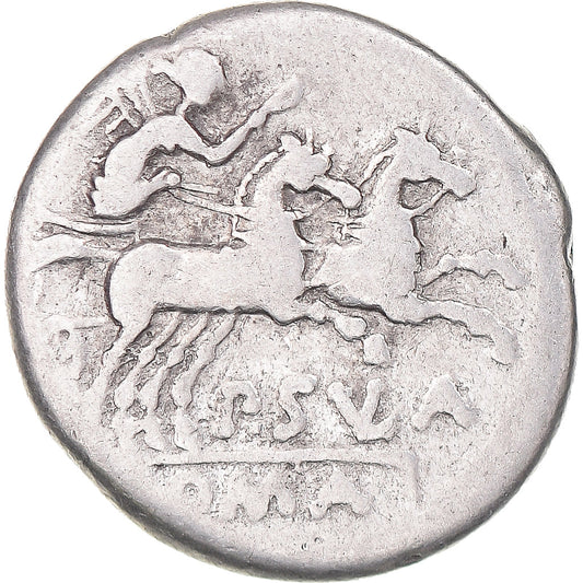 Acuñar, 
  
  cornelia, 
  
  Dinar