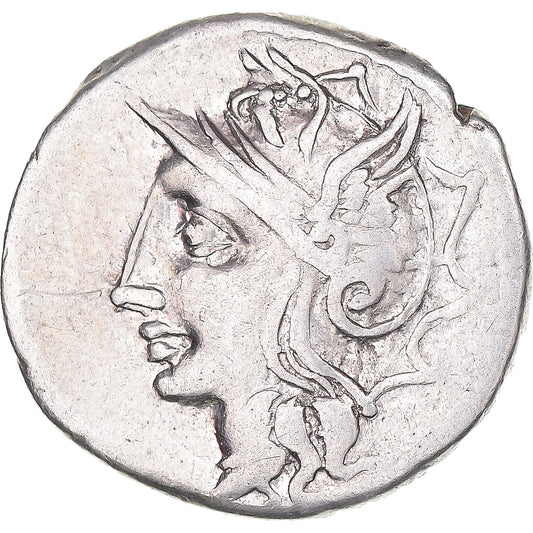 Acuñar, 
  
  apulia, 
  
  Dinar