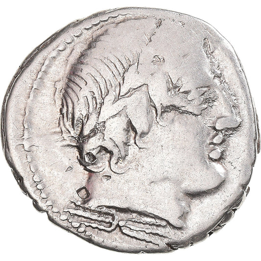 Acuñar, 
  
  gargonias, 
  
  Dinar