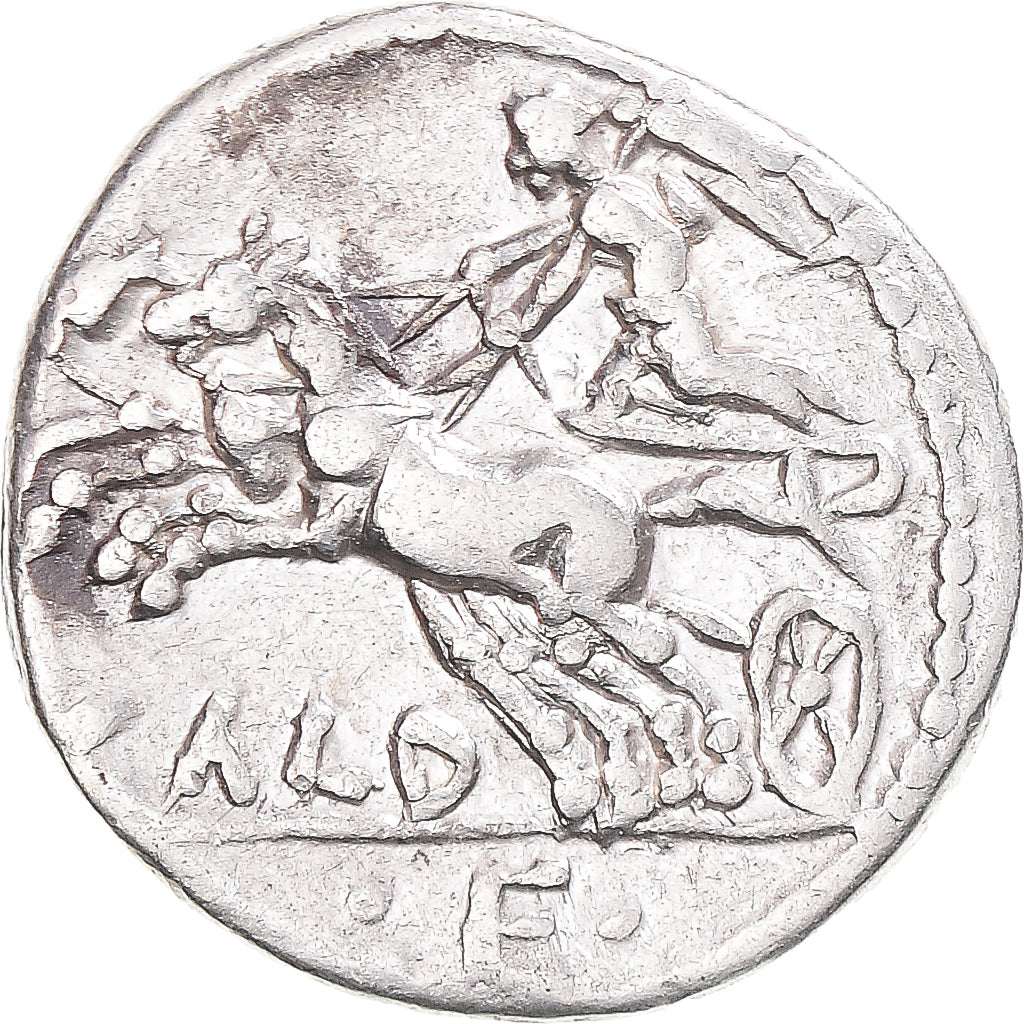 Acuñar, 
  
  Celia, 
  
  Dinar