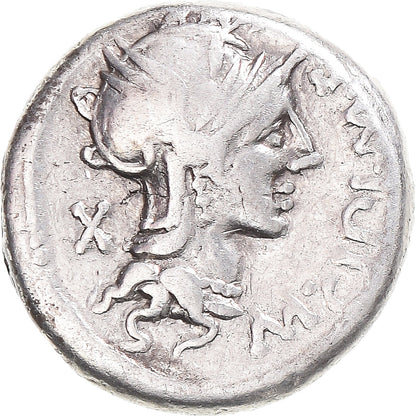 Moneda,

coño,

Dinar