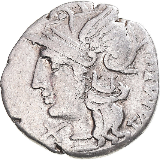 Acuñar, 
  
  Baebia, 
  
  Dinar