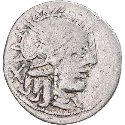 Acuñar, 
  
  papiros, 
  
  Dinar