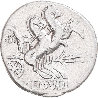 Acuñar, 
  
  kloulia, 
  
  Dinar