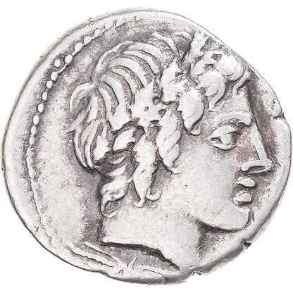 Moneda,

gargilius,

Ogulnius