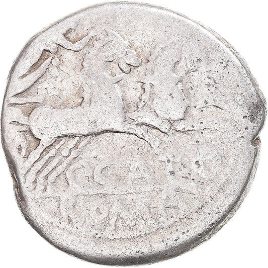 Acuñar, 
  
  Porcia, 
  
  Dinar