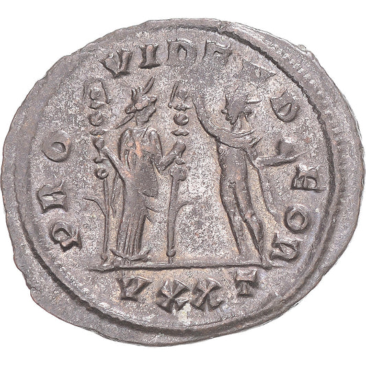 Moneta,
 
 Severina,
 
 Antonianos