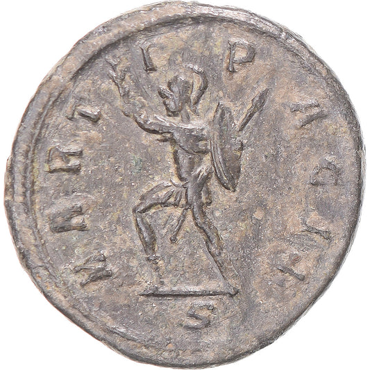 Moneda,

Tácito,

Antoniniano
