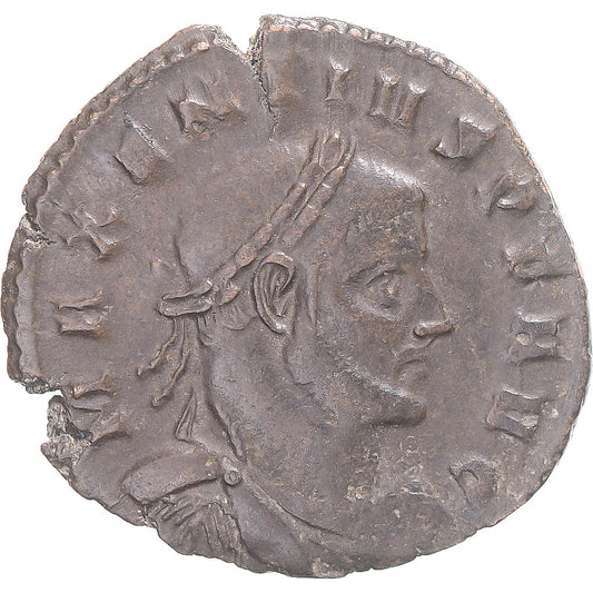 Acuñar,
 
 Majencio,
 
 Bronce Æ