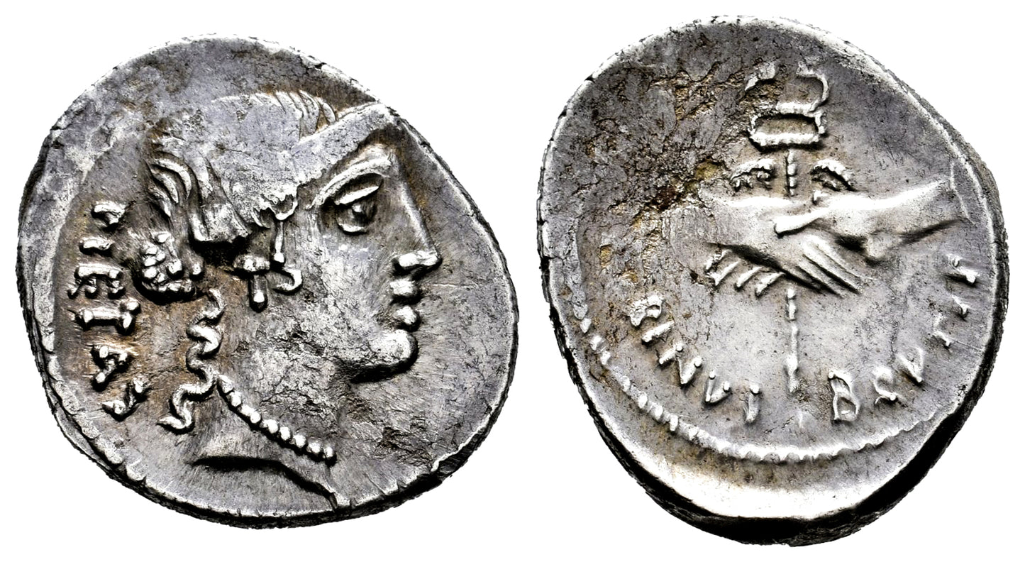 FAMILIA POSTUMIA (DENARIO) 48 a.C.